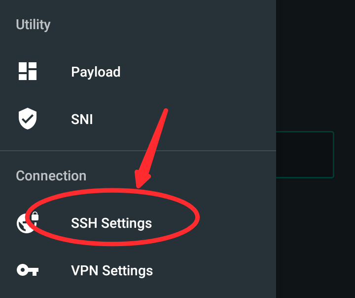 HTTP Custom SSH Settings