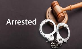 Driver Sentenced to 10 Years in Prison for Pouring Acid on Baby Mama ...